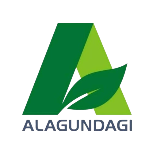 Alagundagi
